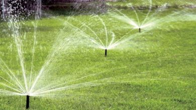 a-beginner’s-guide-to-installing-an-irrigation-system